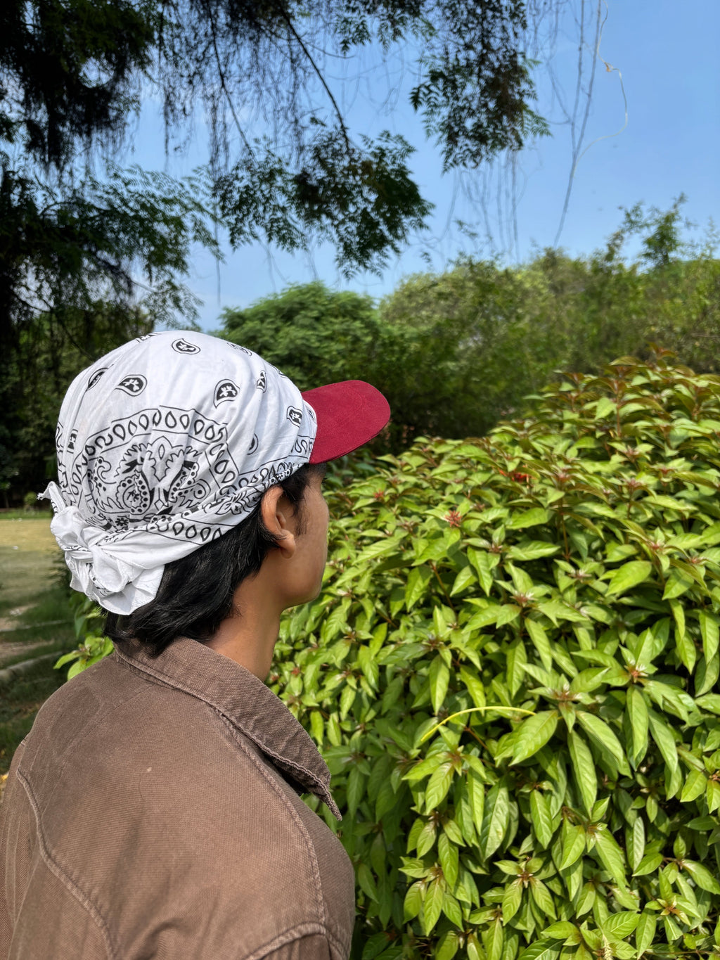 Brimknot - Maroon/White